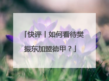 快评丨如何看待樊振东加盟德甲？