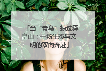 当“青鸟”掠过舜皇山：一场生态与文明的双向奔赴