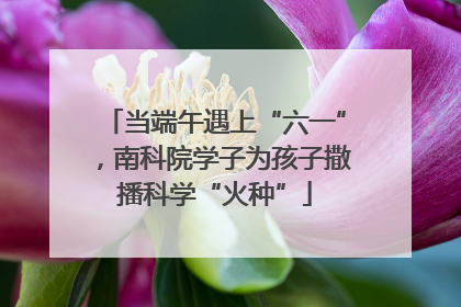 当端午遇上“六一”，南科院学子为孩子撒播科学“火种”