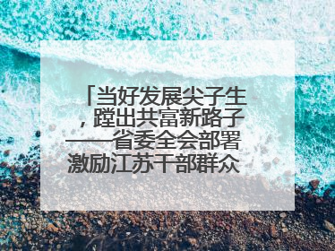当好发展尖子生，蹚出共富新路子——省委全会部署激励江苏干部群众促进全体人民共同富裕