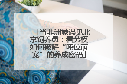 当非洲象遇见北京饲养员：看劳模如何破解“吨位萌宠”的养成密码