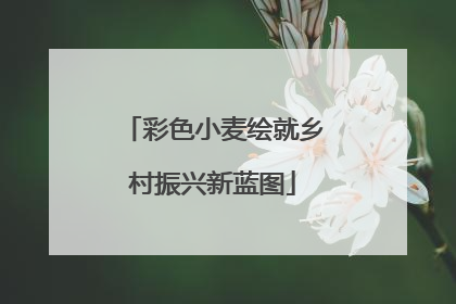 彩色小麦绘就乡村振兴新蓝图