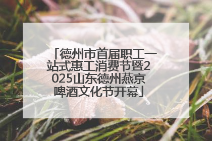 德州市首届职工一站式惠工消费节暨2025山东德州燕京啤酒文化节开幕