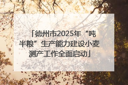 德州市2025年“吨半粮”生产能力建设小麦测产工作全面启动