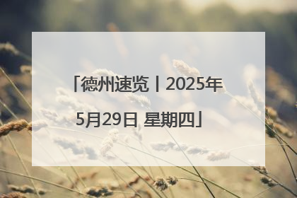 德州速览丨2025年5月29日 星期四