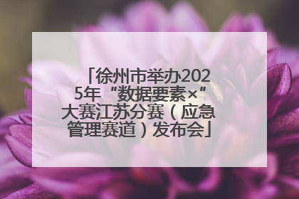 徐州市举办2025年“数据要素×”大赛江苏分赛（应急管理赛道）发布会