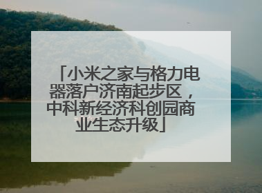 小米之家与格力电器落户济南起步区，中科新经济科创园商业生态升级