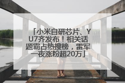 小米自研芯片、YU7齐发布！相关话题霸占热搜榜，雷军一夜涨粉超20万
