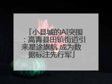 小县城的AI突围：高青县田镇街道引来星途旗航 成为数据标注先行军