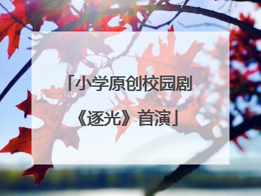 小学原创校园剧《逐光》首演