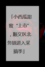 小西瓜甜蜜“上市”，顺义区北务镇进入采摘季