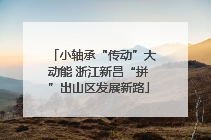 小轴承“传动”大动能 浙江新昌“拼”出山区发展新路