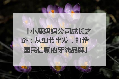 小鹿妈妈公司成长之路：从细节出发，打造国民信赖的牙线品牌