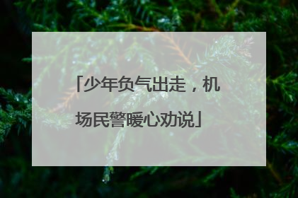 少年负气出走，机场民警暖心劝说