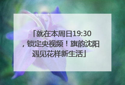 就在本周日19:30，锁定央视频！旗韵沈阳 遇见花样新生活
