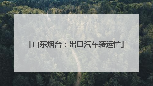 山东烟台：出口汽车装运忙