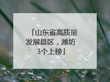 山东省高质量发展县区，潍坊3个上榜
