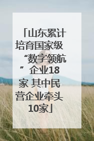 山东累计培育国家级“数字领航”企业18家 其中民营企业牵头10家