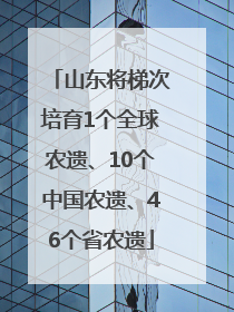山东将梯次培育1个全球农遗、10个中国农遗、46个省农遗