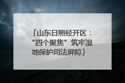 山东日照经开区：“四个聚焦”筑牢湿地保护司法屏障