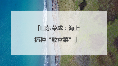 山东荣成：海上播种“致富菜”