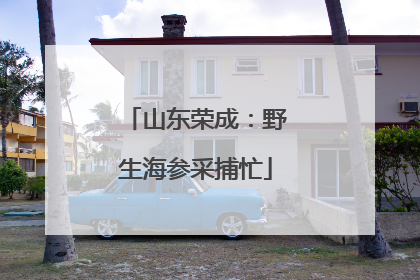 山东荣成：野生海参采捕忙