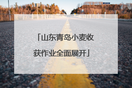 山东青岛小麦收获作业全面展开
