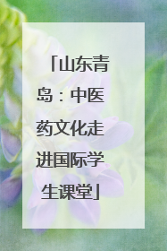 山东青岛:中医药文化走进国际学生课堂