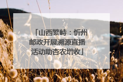 山西繁峙：忻州邮政开展溯源直播活动助杏农增收