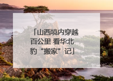 山西境内穿越百公里 看华北豹“搬家”记