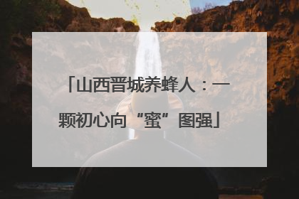 山西晋城养蜂人：一颗初心向“蜜”图强