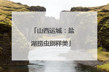 山西运城：盐湖捞虫别样美
