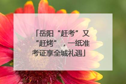 岳阳“赶考”又“赶烤”，一纸准考证享全城礼遇