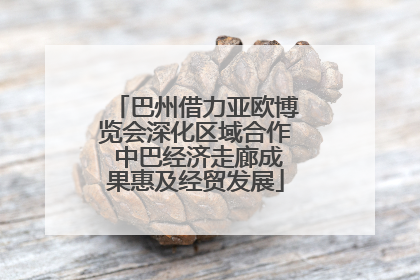 巴州借力亚欧博览会深化区域合作 中巴经济走廊成果惠及经贸发展