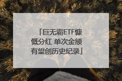巨无霸ETF慷慨分红 单次金额有望创历史纪录