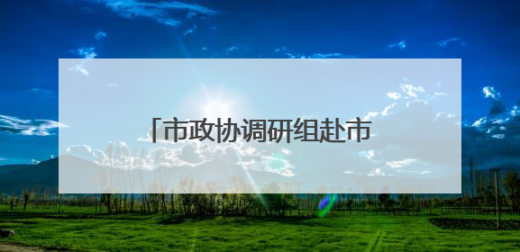 市政协调研组赴市大数据中心调研