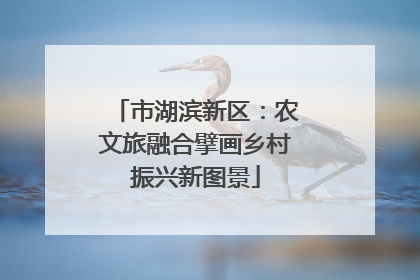 市湖滨新区：农文旅融合擘画乡村振兴新图景