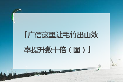 广信这里让毛竹出山效率提升数十倍（图）