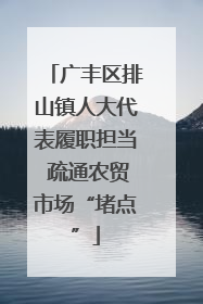 广丰区排山镇人大代表履职担当 疏通农贸市场“堵点”