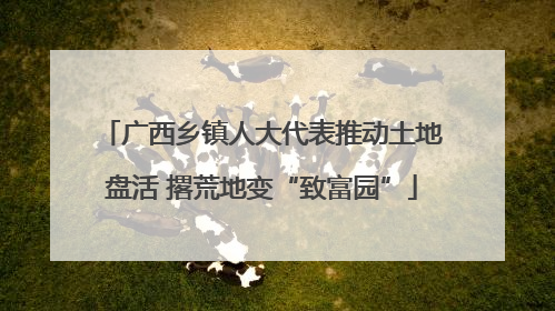 广西乡镇人大代表推动土地盘活 撂荒地变“致富园”