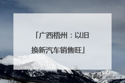 广西梧州：以旧换新汽车销售旺