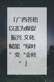 广西苍梧以茶为媒促振兴 文化赋能“绿叶”变“金叶”