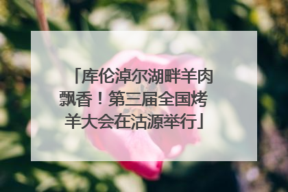 库伦淖尔湖畔羊肉飘香！第三届全国烤羊大会在沽源举行