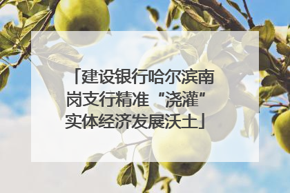 建设银行哈尔滨南岗支行精准“浇灌”实体经济发展沃土