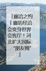 廊洽之约丨廊坊经洽会变身世界会客厅！河北扩大国际“朋友圈”