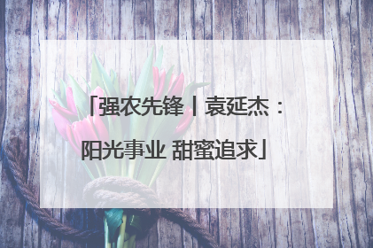 强农先锋丨袁延杰：阳光事业 甜蜜追求