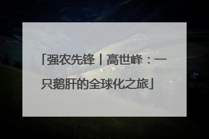 强农先锋丨高世峰：一只鹅肝的全球化之旅