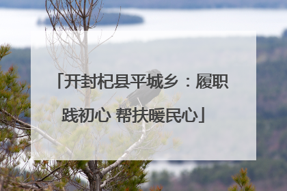 开封杞县平城乡：履职践初心 帮扶暖民心