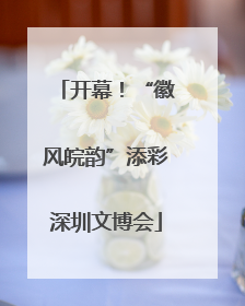 开幕！“徽风皖韵”添彩深圳文博会