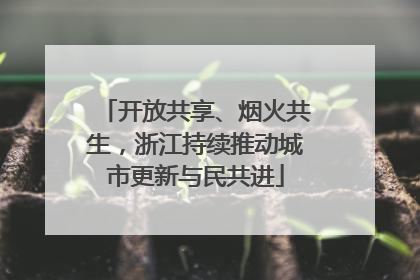 开放共享、烟火共生，浙江持续推动城市更新与民共进